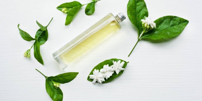 9 huiles essentielles pour bien digÃ©rer