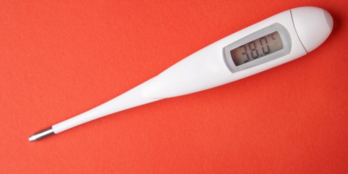 fever - fieber