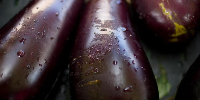 8 aliments qui brûlent les graisses