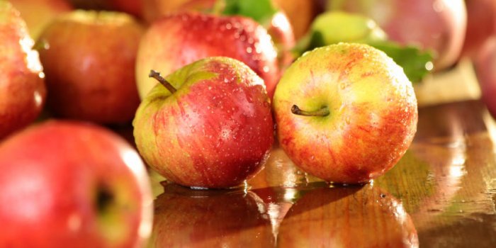 8 aliments qui brûlent les graisses