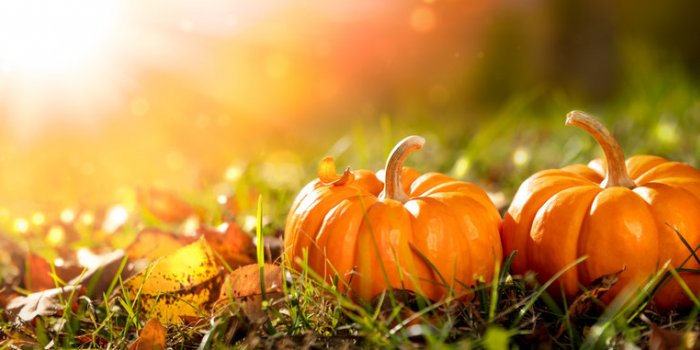 Les 6 lÃ©gumes les plus sucrÃ©s