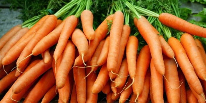 Les 6 lÃ©gumes les plus sucrÃ©s