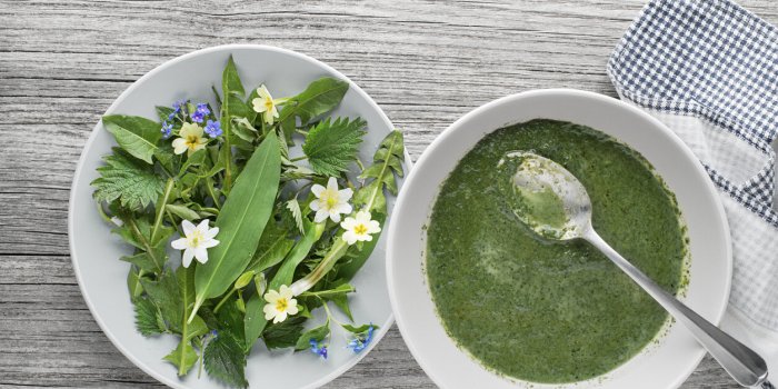 Pissenlit : voici pourquoi il faut en consommer rÃ©guliÃ¨rement