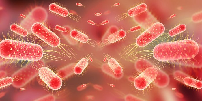 Ces 7 maladies du Moyen-Ãge pourraient-elles revenir ?
