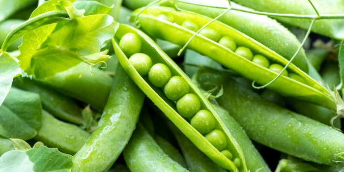 Perte de poids : 6 légumes surgelés à consommer