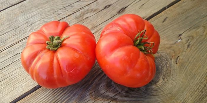 15 aliments que vous ne devez pas mettre au frigo