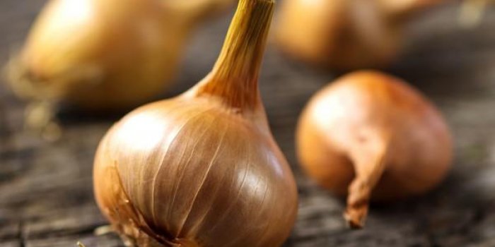 15 aliments que vous ne devez pas mettre au frigo