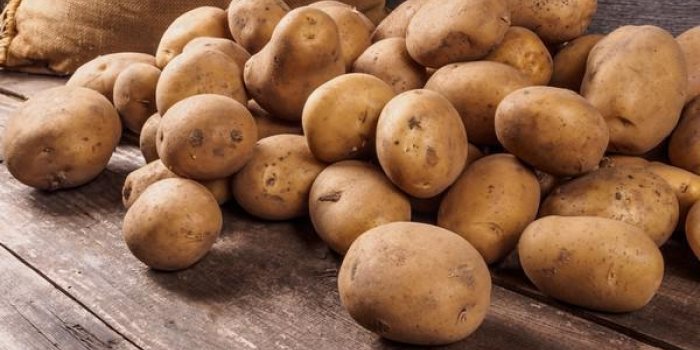 15 aliments que vous ne devez pas mettre au frigo