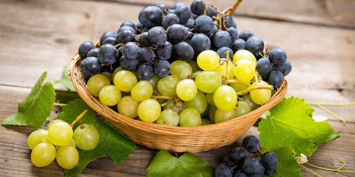 Les fruits dâété à congeler pour profiter de leurs bienfaits toute lâannée