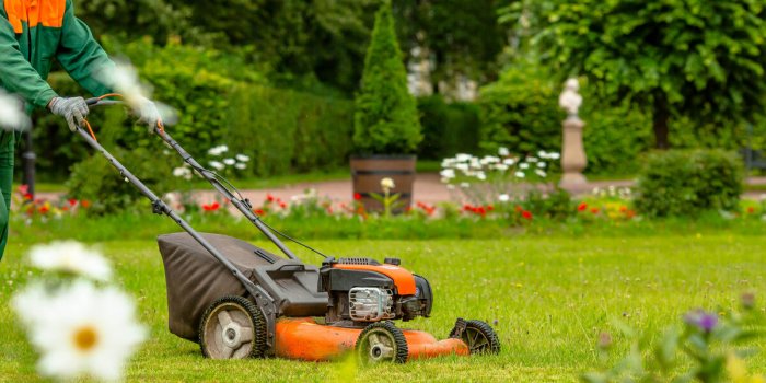 Allergie au pollen : 7 bons gestes à adopter