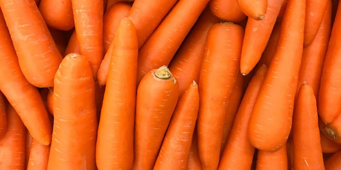 Les meilleurs fruits et légumes en conserve