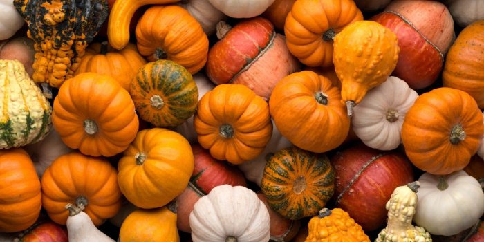 15 aliments sains Ã  toujours avoir dans vos placards