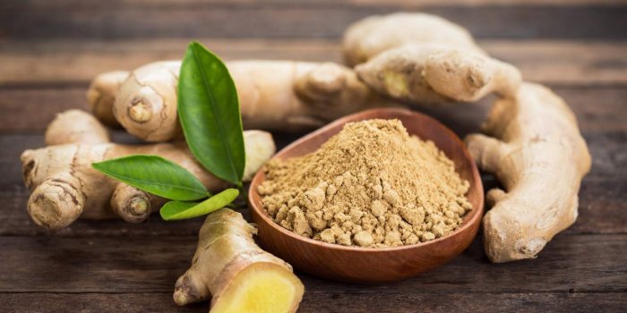 NausÃ©es : 6 aliments qui aident Ã  les faire passer