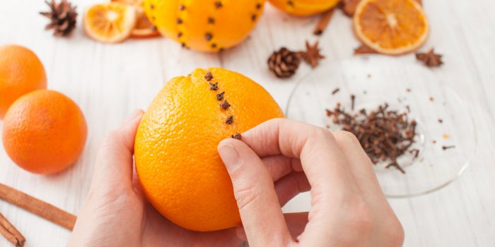 Mouches : 6 répulsifs naturels pour sâen débarrasser