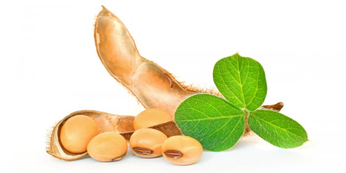 Ces 8 aliments riches en protéines pour vous aider à garder la ligne