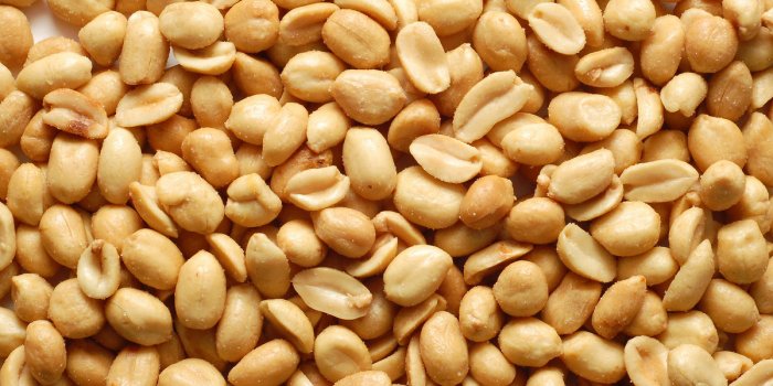 Ces 8 aliments riches en protéines pour vous aider à garder la ligne