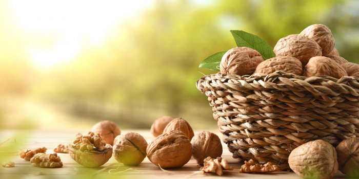 Noix : 7 bonnes raisons dâen manger régulièrement