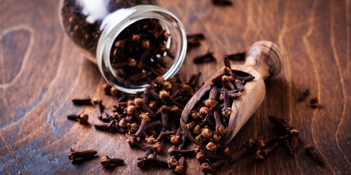 Frelons asiatiques : 6 astuces pour sâen débarrasser sans pesticides