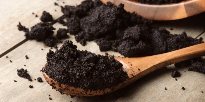 Frelons asiatiques : 6 astuces pour sâen débarrasser sans pesticides