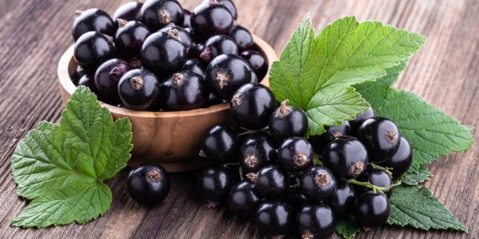 Alzheimer : un rÃ©gime riche en flavonoÃ¯des baisse le risque de dÃ©clin cognitif