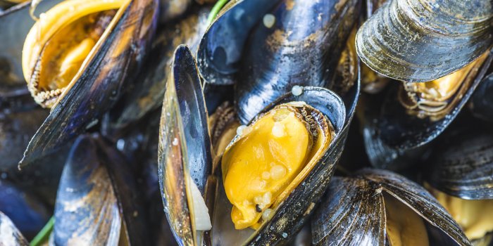 Fruits de mer : 7 erreurs qui peuvent vous empoisonner
