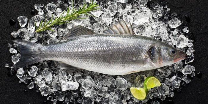 10 aliments à ne pas mettre dans une friteuse
