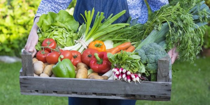 10 aliments à ne pas mettre dans une friteuse
