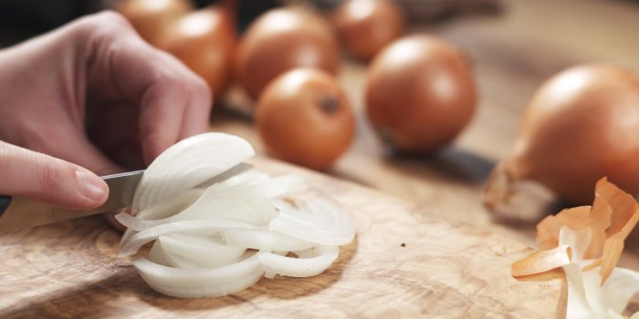 young female hands slicing white onion, wide photo