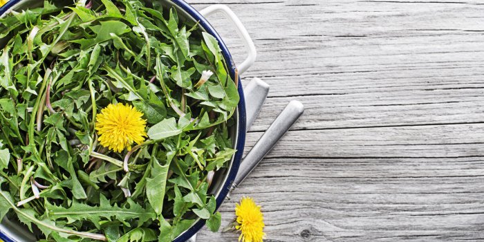 fresh dandelion salad with dressing close up healthy spring food concept