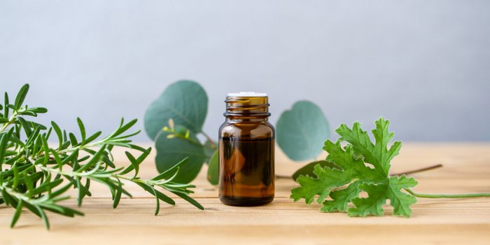Covid-19 : les plantes Ã  Ã©viter car elles perturbent l'immunitÃ©