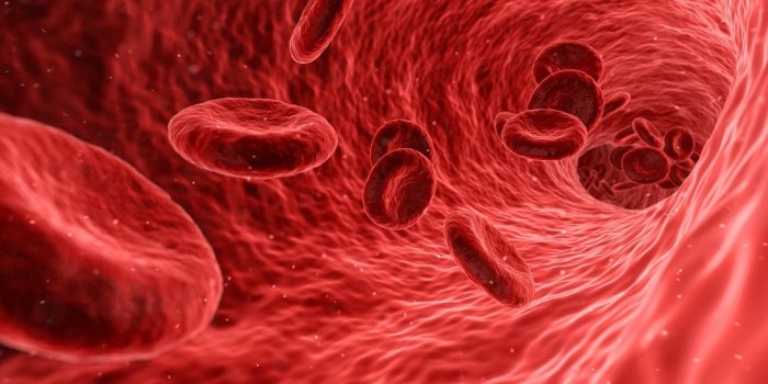 Vitamine B9 : les 10 signes de carence