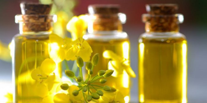 Brûlure d'estomac : 10 aliments anti-reflux gastro-oesophagien (RGO)