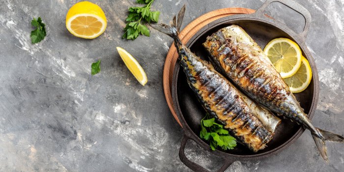 bbq grilled mackerel fish with herbs beer fest menu banner, menu recipe place for text, top view
