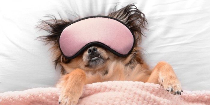 Vous dormez mal ? 10 trucs Ã  changer dans votre chambre