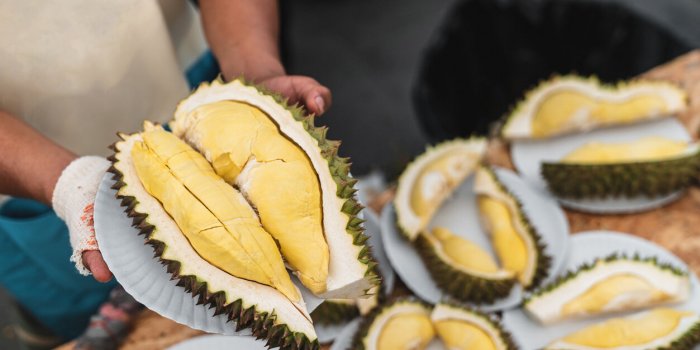 Voici les 7 fruits les plus dangereux pour lâHommeÂ Â 