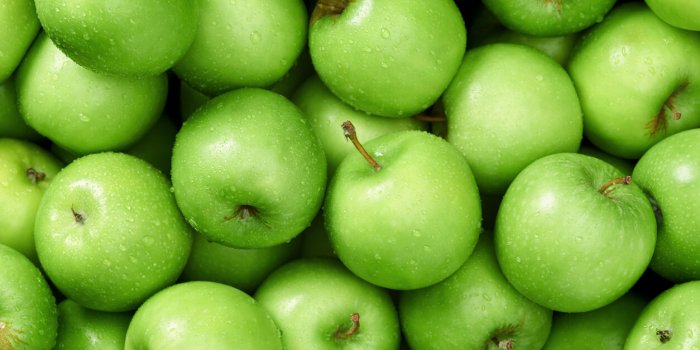 Voici les 7 fruits les plus dangereux pour lâHommeÂ Â 