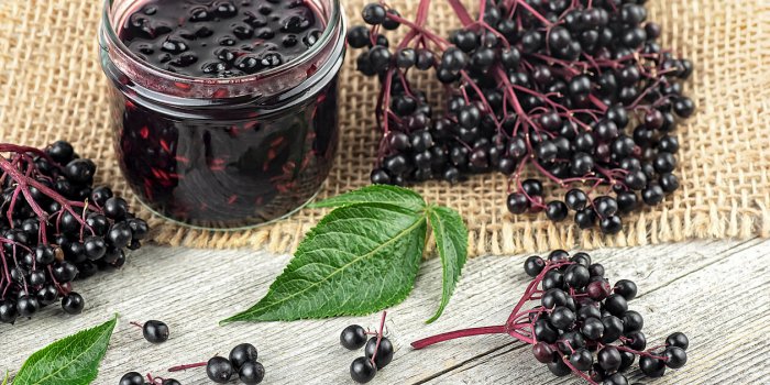 Voici les 7 fruits les plus dangereux pour lâHommeÂ Â 