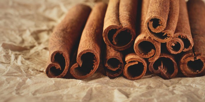 8 astuces naturelles pour se dÃ©barrasser des fourmis Ã  la maison