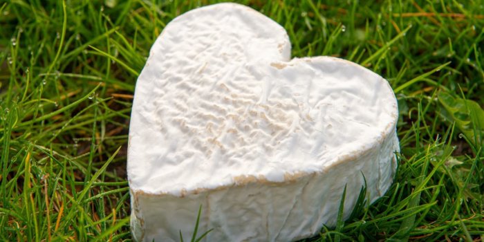 Cholestérol : 12 fromages légers à choisir pour le réveillon du Nouvel An