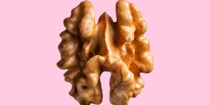Commencer la journée par ces 5 aliments vous évite de prendre du poids