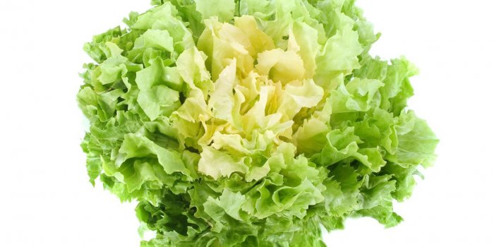 Salmonelle : les légumes à feuilles peuvent vous contaminer
