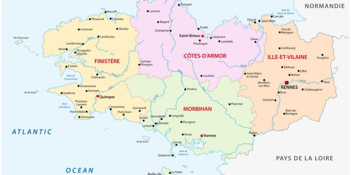 Masques grand public : les villes et régions qui en distribuent gratuitement