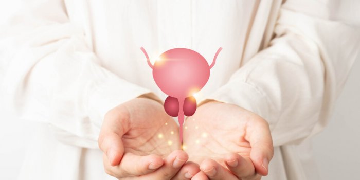 Envie fréquente dâuriner : les 5 maladies à surveiller