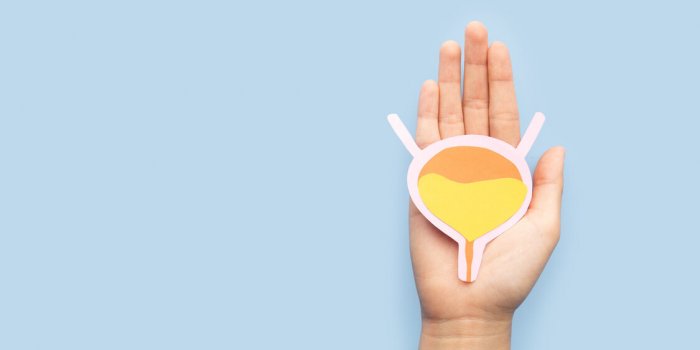 Envie fréquente dâuriner : les 5 maladies à surveiller