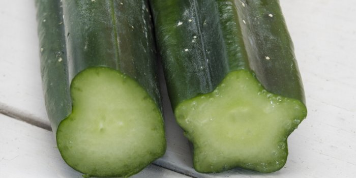 Voici les raisons pour lesquelles la courgette est LE vrai aliment de lâété