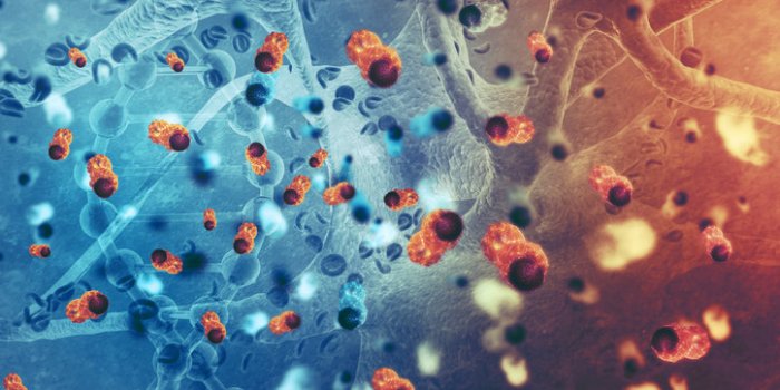 Les maladies que lâon peut attraper assis