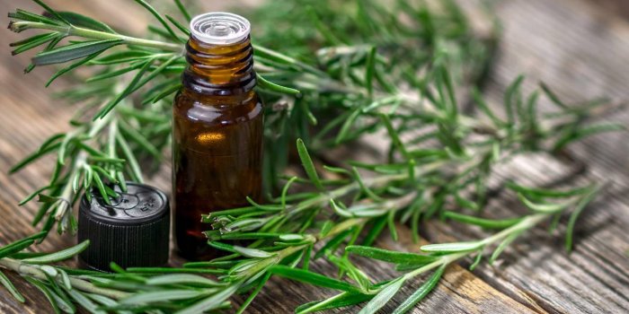 Points noirs : 5 huiles essentielles pour en venir Ã  bout
