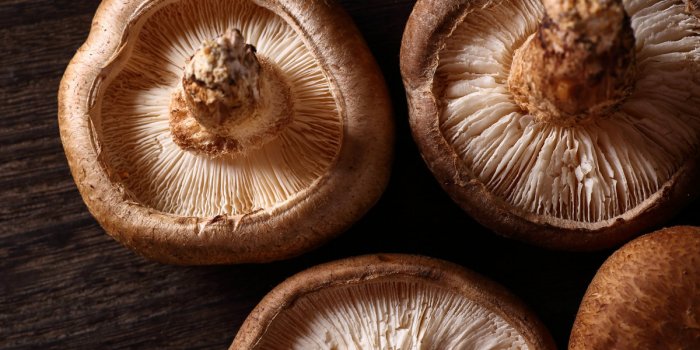 10 aliments qui boostent le bonheur