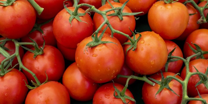 Vous avez des problÃ¨mes pour uriner ? Ces aliments en sont peut-Ãªtre la cause