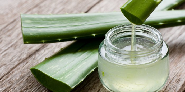 aloe vera